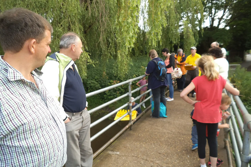 Members viewing the Duck Race from the bridge